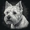 West Highland White Terrier, Westie, engaving style, close-up portrait, black and white drawing