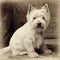 West Highland White Terrier, Westie, old vintage retro postcard style, close-up portrait, cute dog