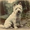 West Highland White Terrier, Westie, old vintage retro postcard style, close-up portrait, cute dog,