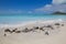 West Indies, Caribbean, Antigua, St Mary, Jolly Harbour, Beach