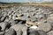 West ireland stony beach