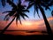 West Java Banten. two coconut trees on anyer beach