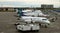 West Jet planes in a row at the Calgary airport on a grey day