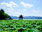 West Lake of Hangzhou pavilion