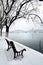 West Lake in the snow, Hangzhou, China