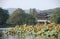 West Lake Xi Hu in Hangzhou, Zhejiang Province, China. Yudai bridge on West Lake, one of the famous symbols of Hangzhou city.