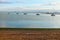 West Mersea beach with line of bobbing boats in the estuary.