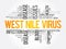 West Nile Virus word cloud collage, health concept