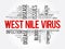 West Nile Virus word cloud collage, health concept background