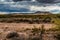 West Texas Landscape of Desert Area with Hills.