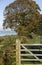 West Wales coastal path.