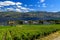 Westbank West Kelowna Okanagan Lake Vineyard