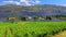 Westbank West Kelowna Okanagan Lake Vineyard