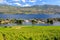 Westbank West Kelowna Okanagan Lake Vineyard