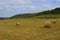 Westbury White Horse.Wiltshire,England