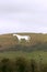 Westbury White Horse in Wiltshire England