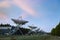 The Westerbork Synthesis Radio Telescope WSRT during dusk, with a light cloudy sky and stars a little visible