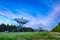 The Westerbork Synthesis Radio Telescope WSRT during dusk, wit