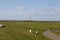 Westerhever light house (Germany)