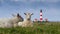 Westerhever Lighthouse