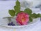 Westerland rose on a romantic place setting