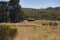 Westermans Homestead in Naas Valley Namadgi National Park