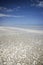 Western Australia - Coastline at the Eighty Mile Beach with shells on the beach