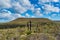 In Western Australia, Lesueur National Park with Grasstrees Balga and also in late winter and spring the parkâ€™s diverse flora