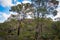 In Western Australia, Lesueur National Park with Grasstrees Balga and also in late winter and spring the parkâ€™s diverse flora