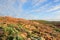 Western Australian coastline landscape