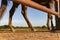 Western Background Of Horse Hooves And Rustic Dirt And Fence On Ranch
