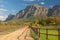 Western Cape vineyard