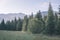 western carpathian Tatra mountain skyline with green fields and forests in foreground. summer in Slovakian hiking trails - vintage