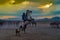 Western cowboys riding horses with dog in dusts. Horse standing on its hind legs with cowboy