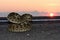 Western diamondback rattlesnake/ sun set