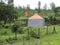 Western Ghats of India- Monsoon season - small temple on lush green hills