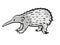 Western Long-beaked Echidna Endangered Wildlife Cartoon Mono Line Drawing