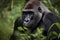 Western Lowland Gorilla - Central Africa (Generative AI)