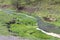 A western mountain stream in Wyoming