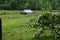 Western NC mountain barn with blackberry bush