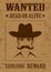 Western poster, wanted dead or alive,