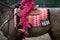 Western Rider Pretty in Pink