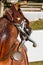 Western Saddle Horn Close Up