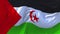 Western Sahara Flag Waving in Wind Continuous Seamless Loop Background.