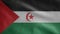 Western Sahara flag waving in the wind. Sahrawi Arab Democratic Republic banner