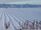 Western Slope Winter Farmland