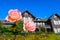 Western-style house and Rose in the Kyu-Furukawa Gardens, Tokyo