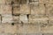 The Western wall texture with dove sitting on the stone