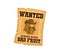 Western wanted poster with kiwi cowboy character