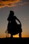 Western woman hold dress silhouette